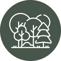 foret