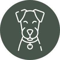 chien